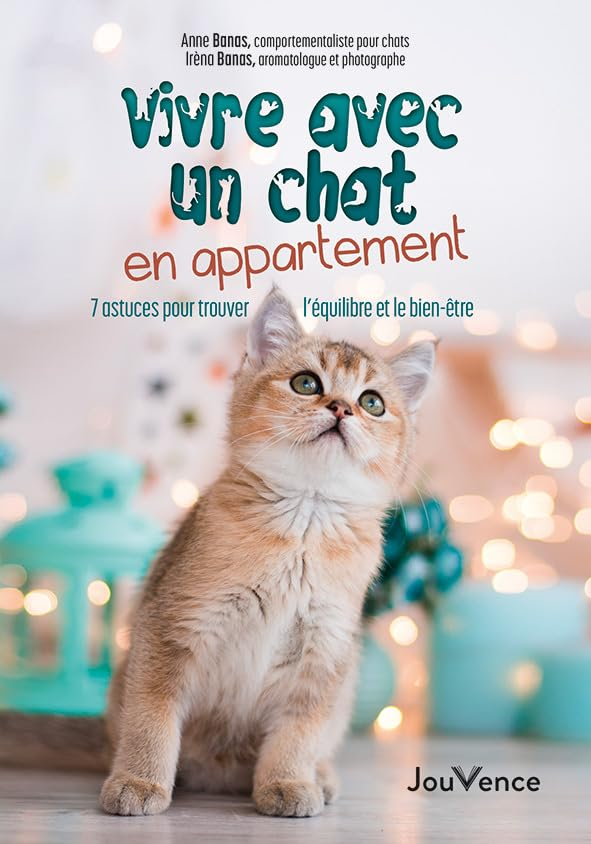 Vivre avec un chat en appartement : 7 astuces pour trouver l'équilibre et le bien-être