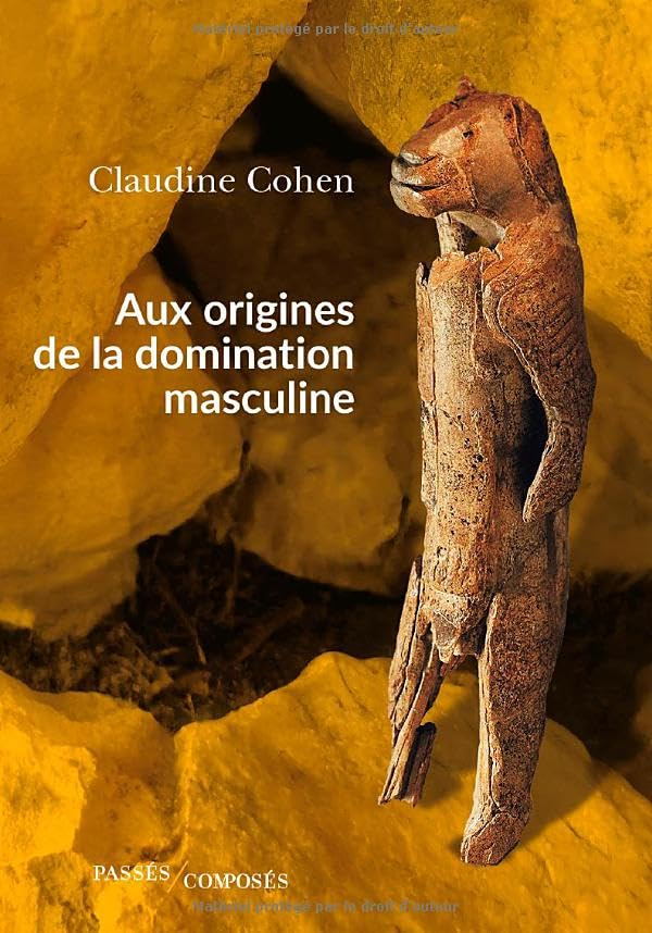 Aux origines de la domination masculine