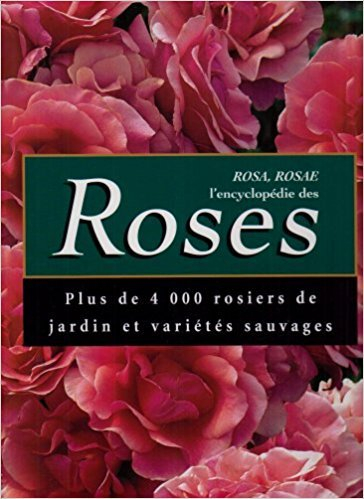 botanica : les roses