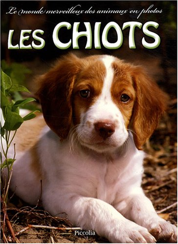 Les chiots