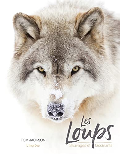 Les loups : sauvages et fascinants