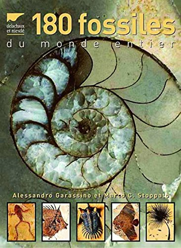 180 fossiles du monde entier