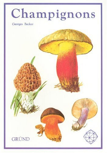 Champignons