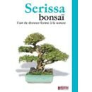 serissa bonsai - l'art de donner forme a la nature