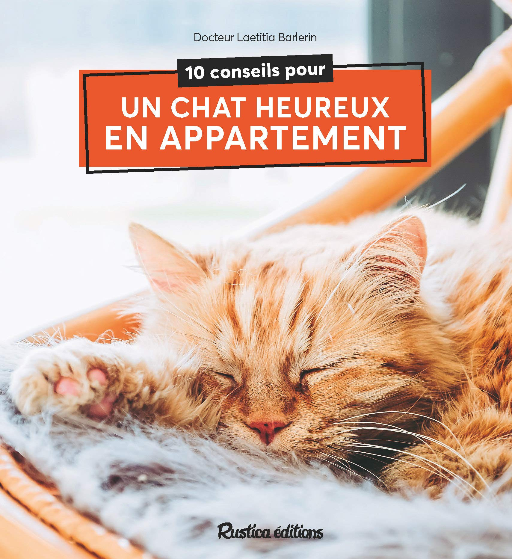 10 conseils pour un chat heureux en appartement