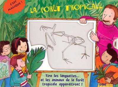 La forêt tropicale