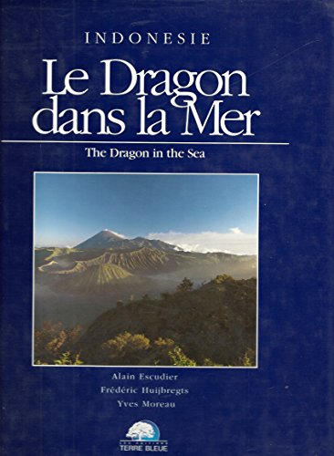 le dragon dans la mer : indonésie