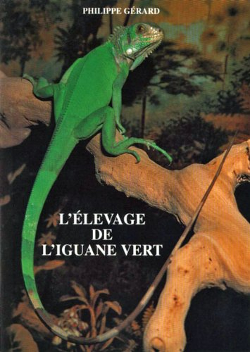 l'élevage de l'iguane vert