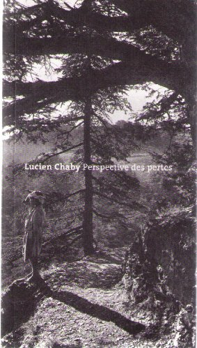 perspective des pertes