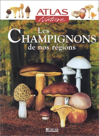 Les champignons de nos régions