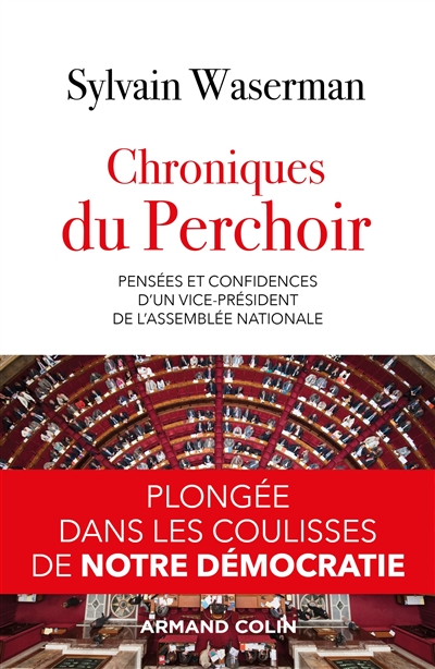 Chroniques du perchoir : pensées et confidences d'un vice-président de l'Assemblée nationale