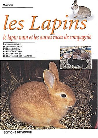 Les lapins : le lapin nain et les autres races de compagnie