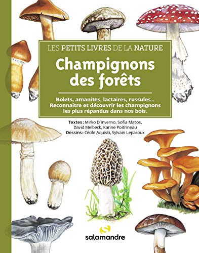 Champignons des forêts : bolets, amanites, lactaires, russules... : reconnaître et découvrir les cha