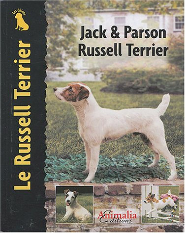 Jack & parson russell terrier