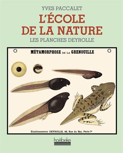L'école de la nature : les planches Deyrolle