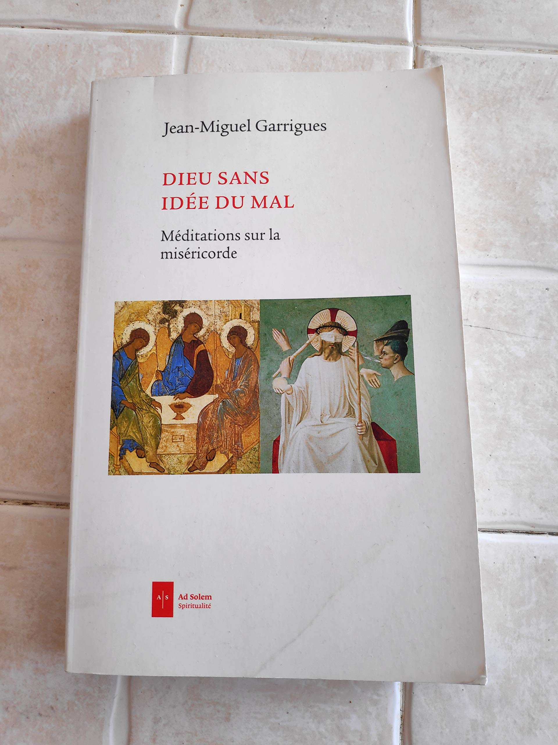 Dieu sans idée du mal : méditations sur la miséricorde