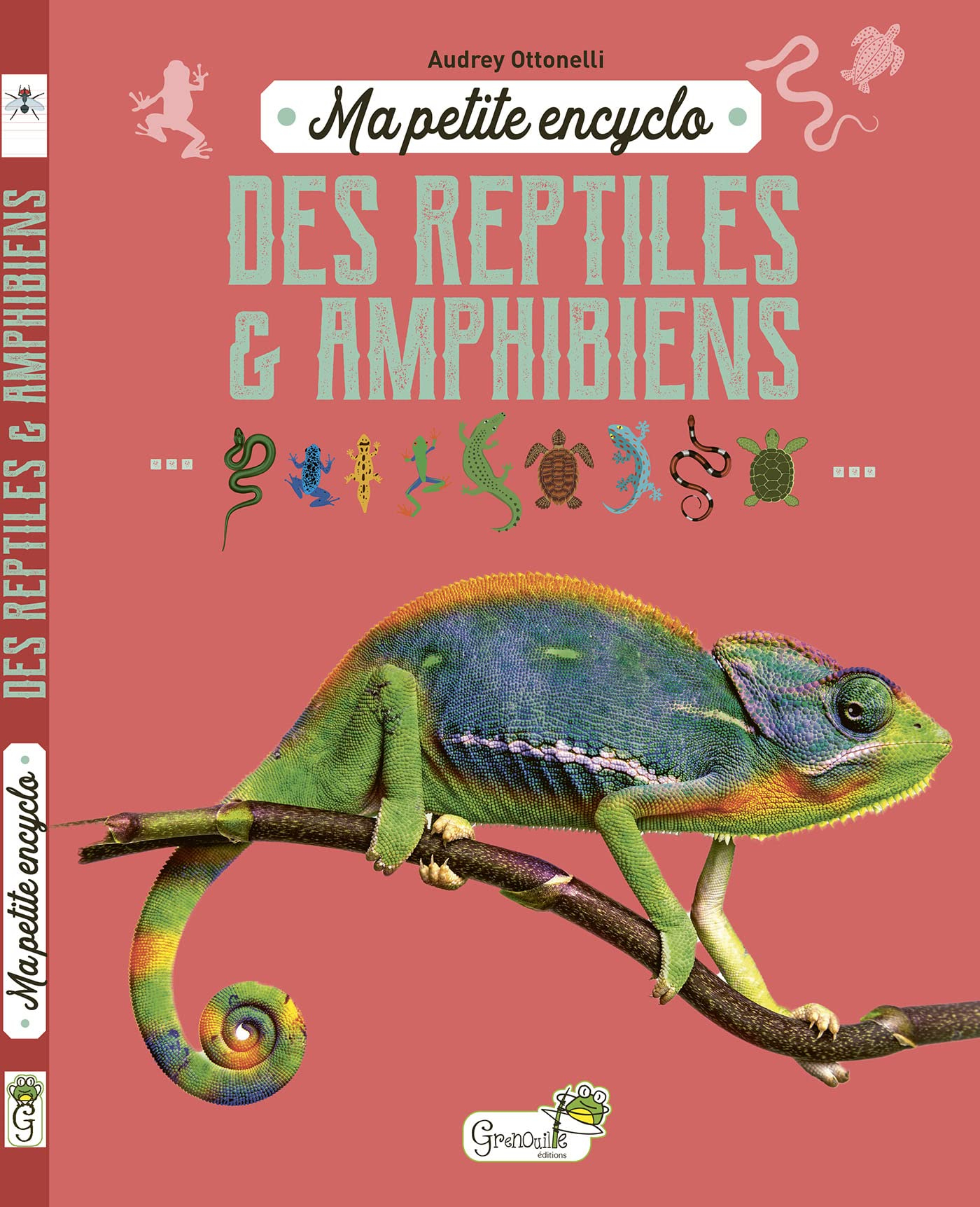 Ma petite encyclo des reptiles & amphibiens