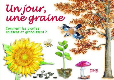 Un jour, une graine : comment les plantes naissent et grandissent ?