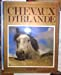 Chevaux d'Irlande
