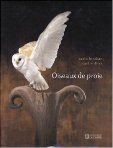 Oiseaux de proie