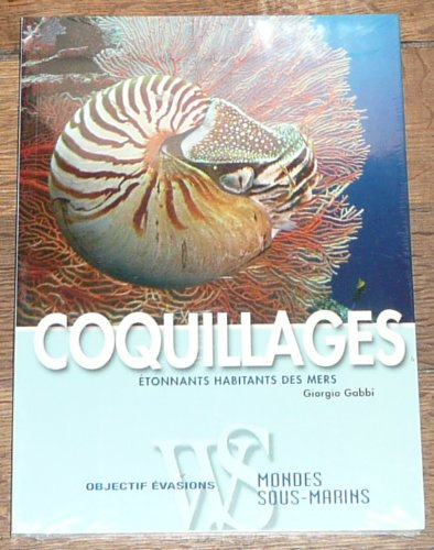 Coquillages : étonnants habitants des mers