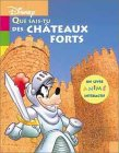 Que sais-tu des châteaux forts ?