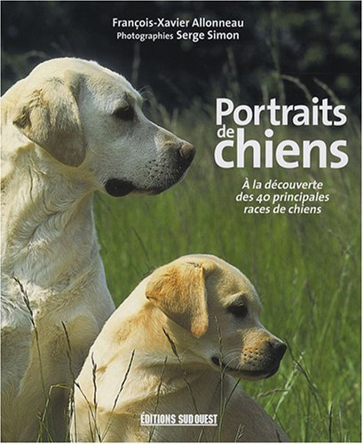Portraits de chiens : à la découverte des 40 principales races de chiens