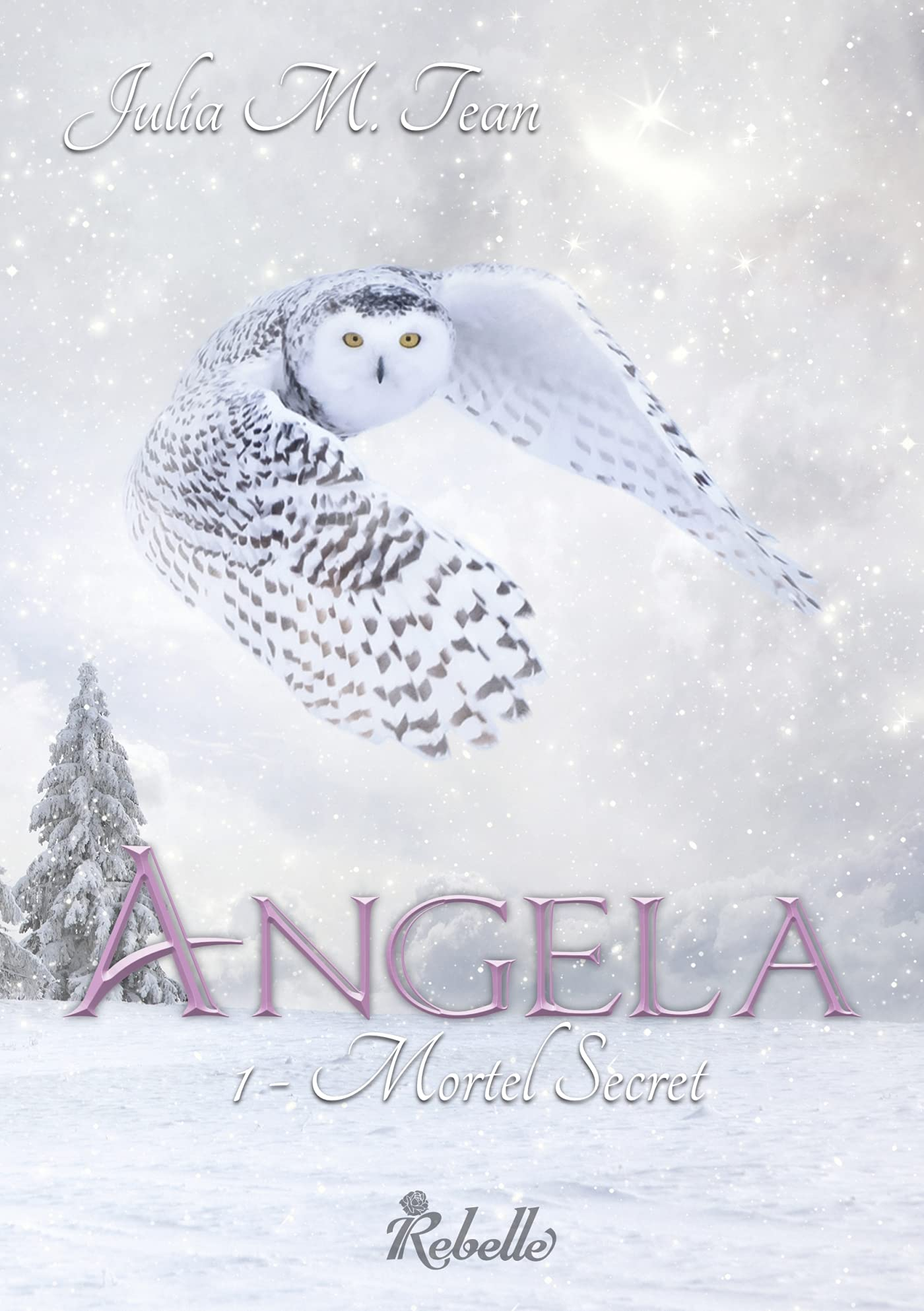 Angela. Vol. 1. Mortel secret