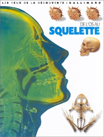 De l'os au squelette