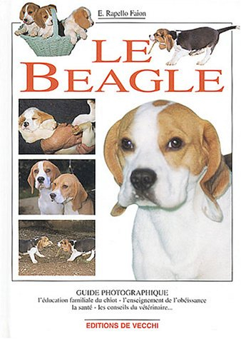 Le beagle : un chiot à la maison, lui apprendre à obéir, sa santé, ses relations avec les enfants, c