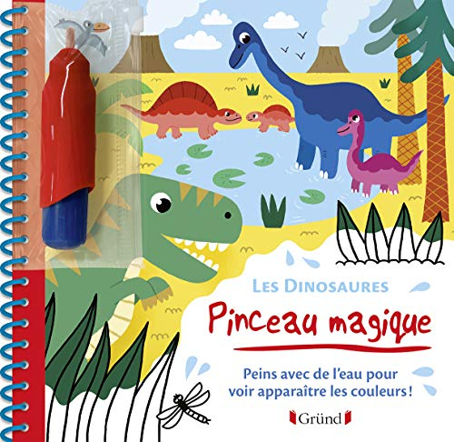 Les dinosaures : peins avec de l'eau pour voir apparaître les couleurs !