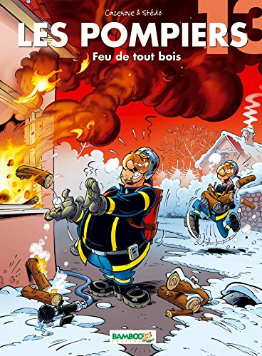 Les pompiers. Vol. 13. Feu de tout bois