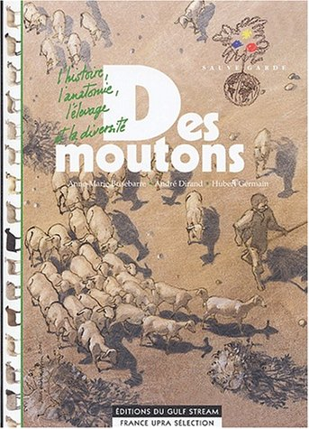 des moutons
