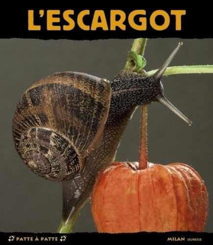 L'escargot