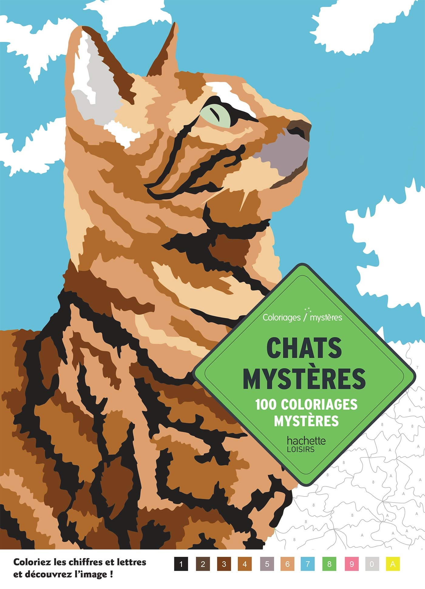 Chats mystères : 100 coloriages mystères