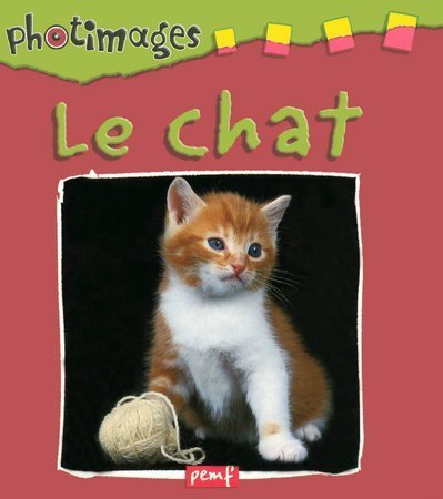 Le chat