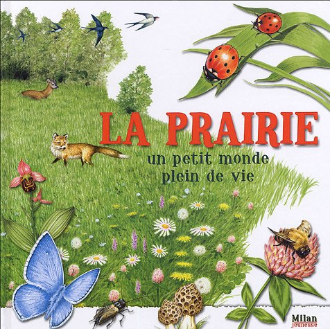 La prairie, un petit monde plein de vie