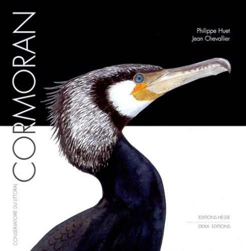 Cormoran