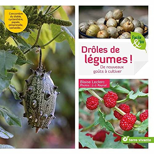 Drôles de légumes ! : de nouveaux goûts à cultiver