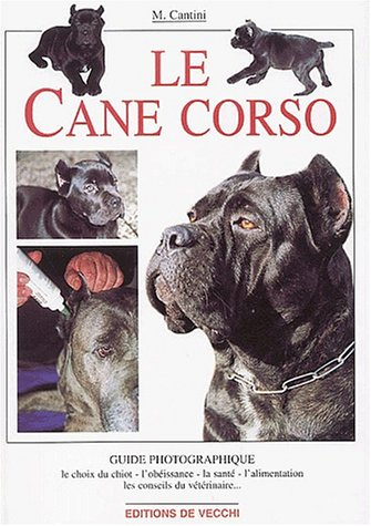 Le cane corso