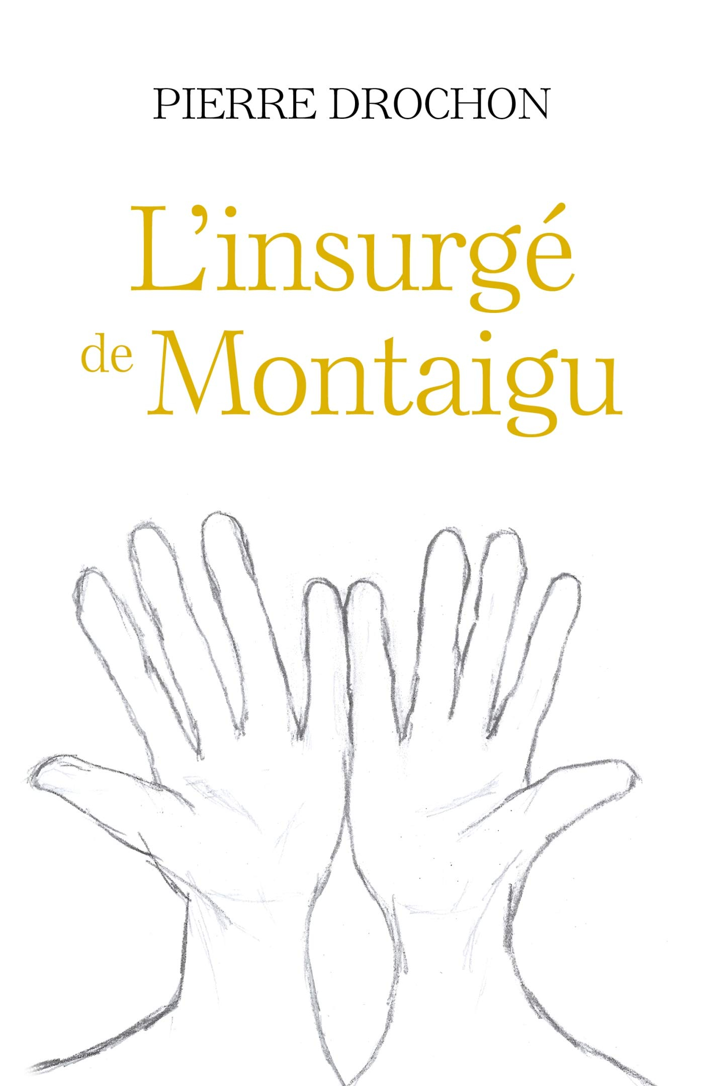 L'Insurgé de Montaigu