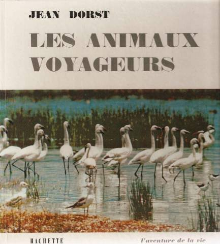 les animaux voyageurs