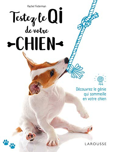Testez le QI de votre chien : découvrez le génie qui sommeille en votre chien !