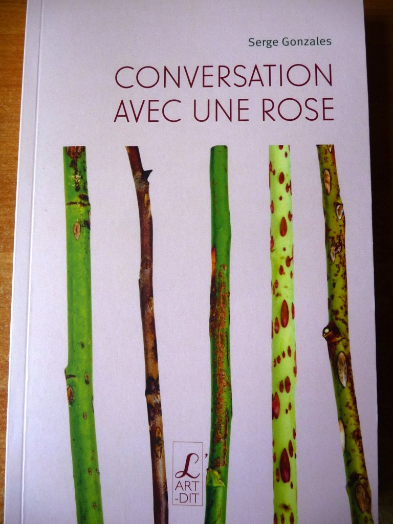 Conversation avec une rose