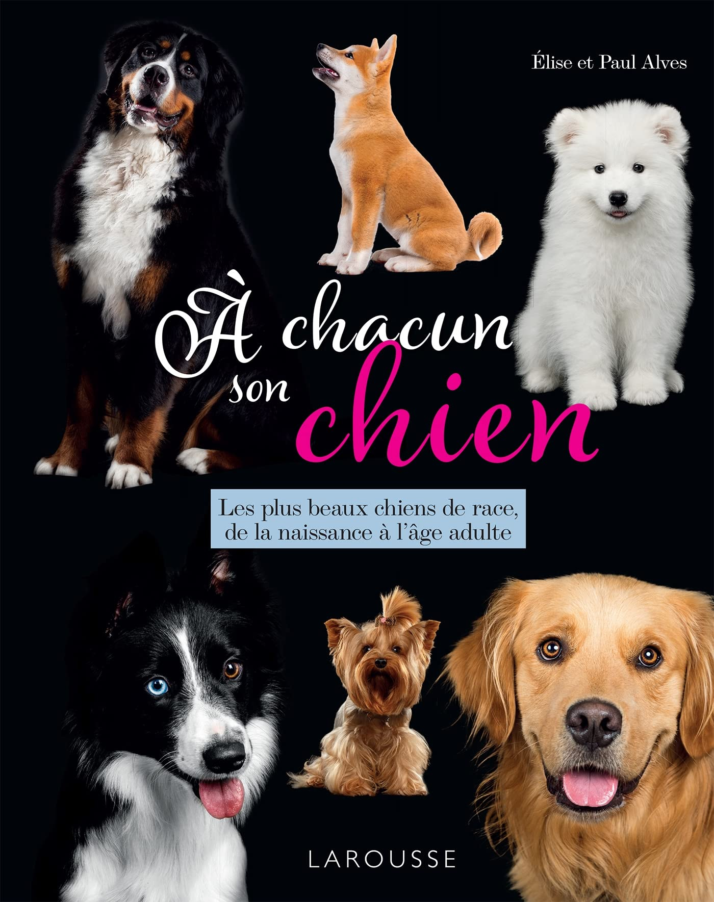A chacun son chien : les plus beaux chiens de race, de la naissance à l'âge adulte