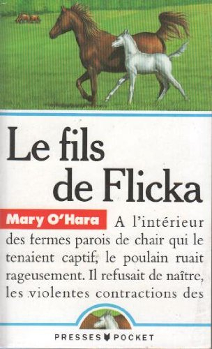 le fils de flicka