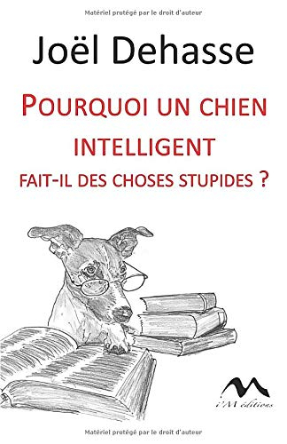 Pourquoi un chien intelligent fait-il des choses stupides?