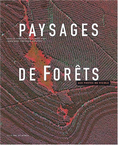 Paysages de forêts : aux portes du visible