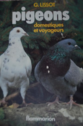 Pigeons domestiques et voyageurs