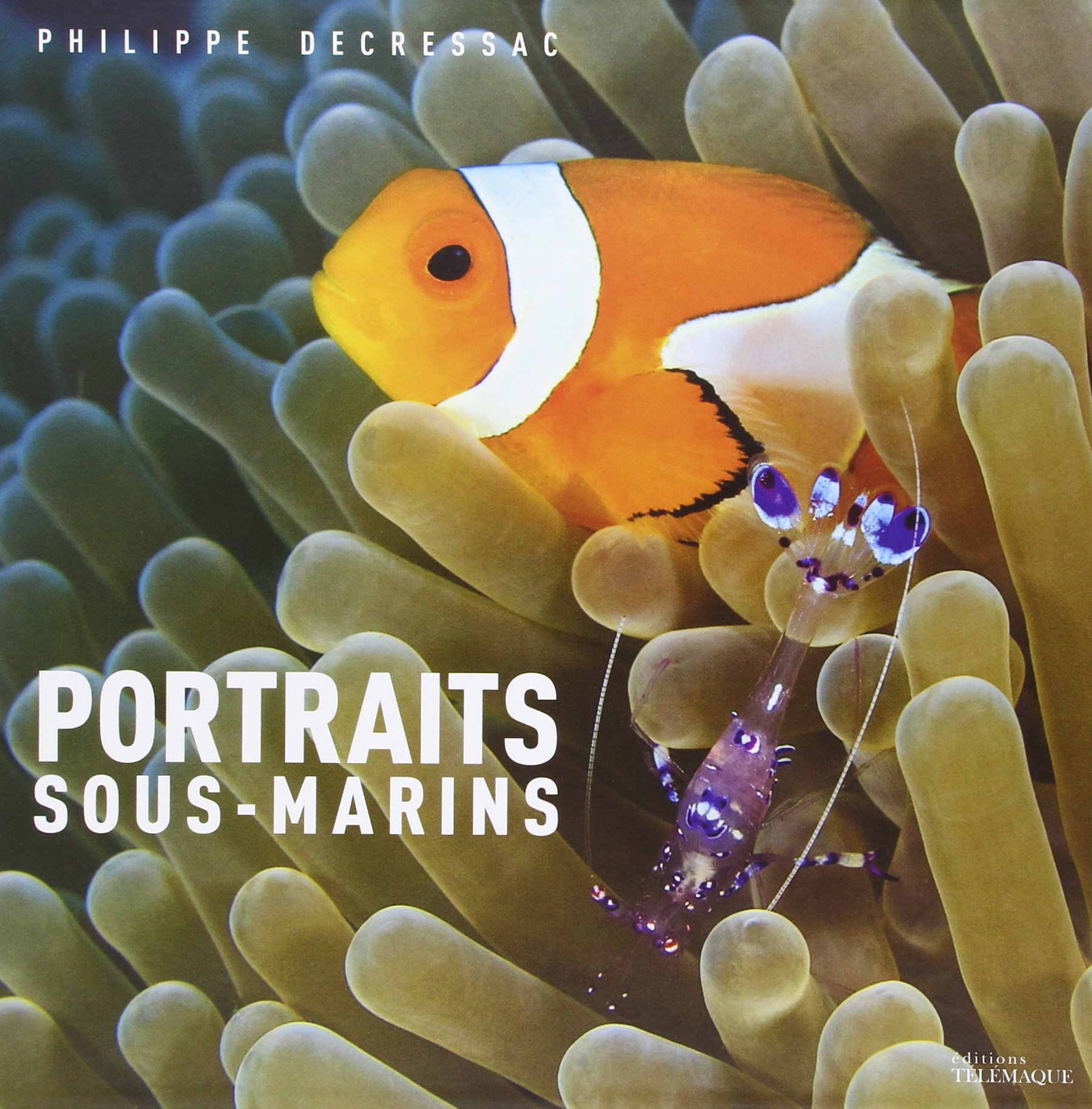 Portraits sous-marins